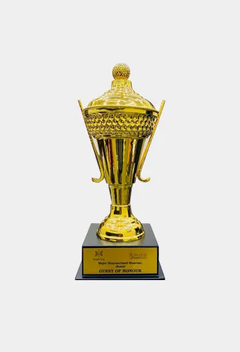 Sports Trophies Awards Maker In delhi