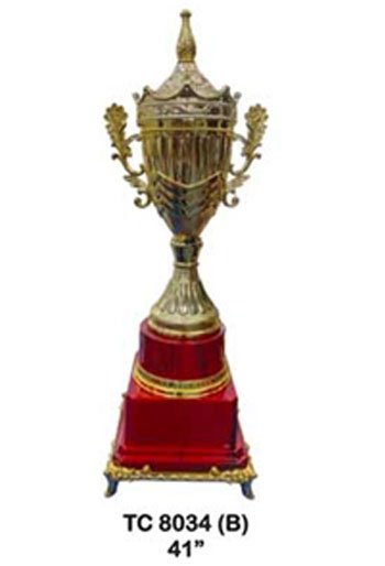 Trophy Manufacturer Shop Delhi