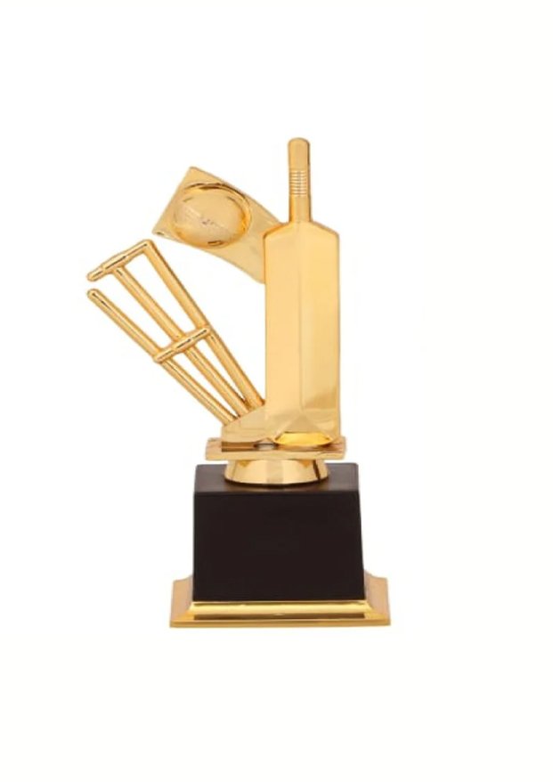 Cricket Trophy Manufacturer in Ghaziabad
