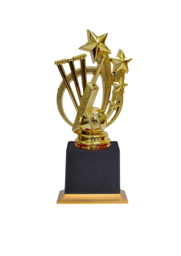 Cricket trophy Manufacturer in Delhi