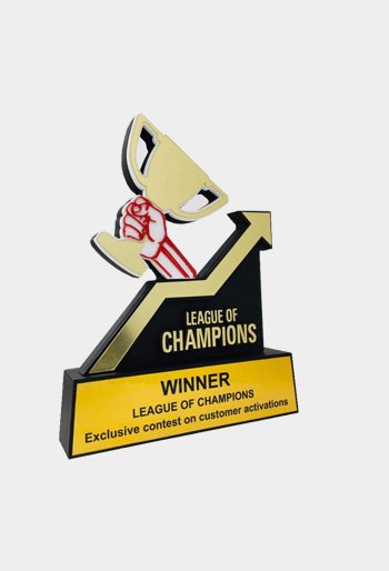 Trophy Supplier in Noida