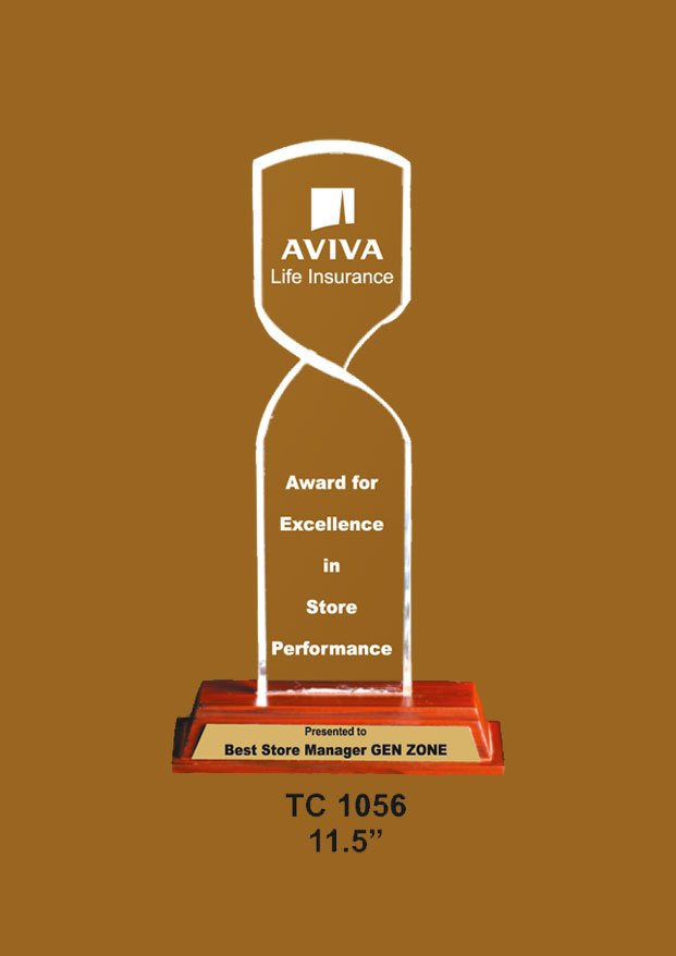 Cricket Trophy manufacturer
