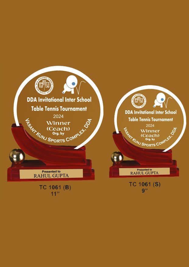 Trophy supllier for swimming competition