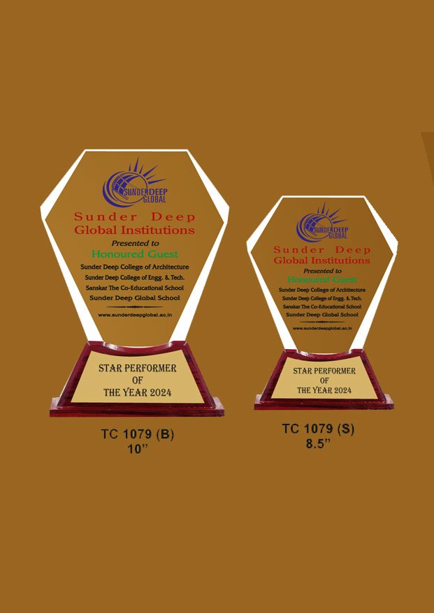 Acrylic Trophy supplier in greater noida
