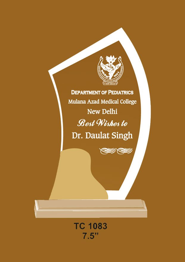 supplier for acrylic trophies for academics