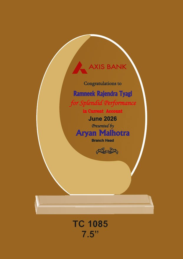 Acrylic Trophy manufacturer for special occasions