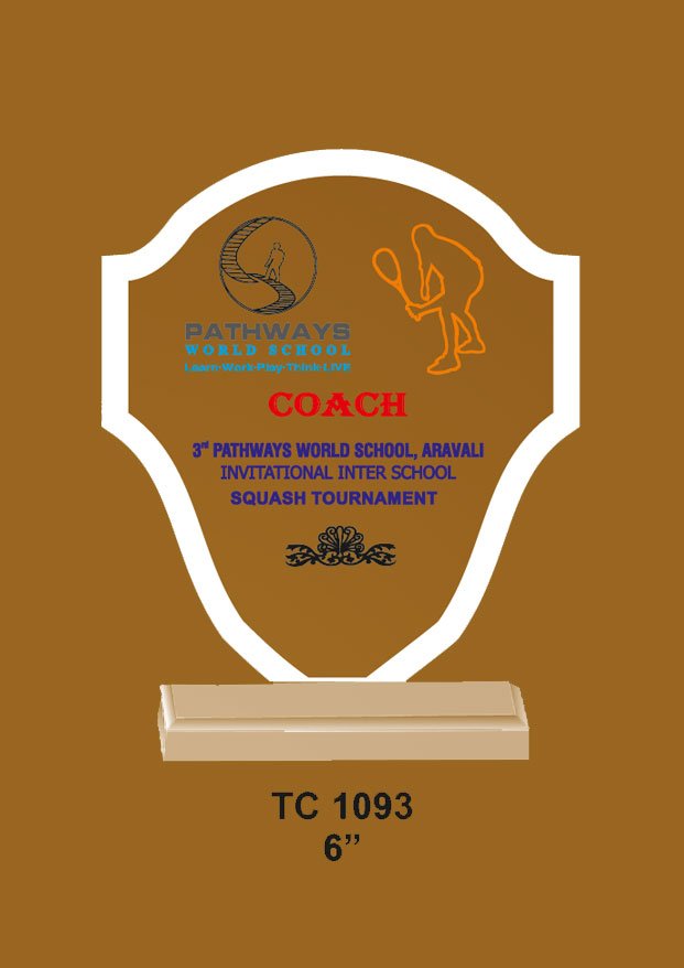 Acrylic Trophy in Delhi