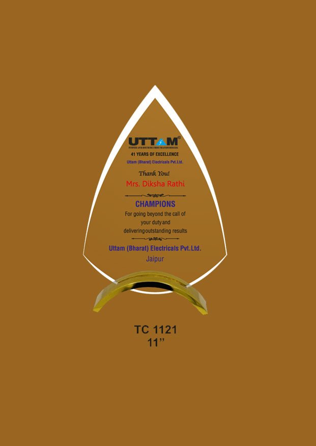 Acrylic Trophy in Delhi