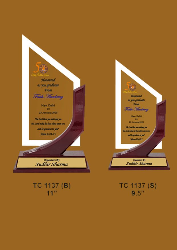 Acrylic Trophy in Delhi
