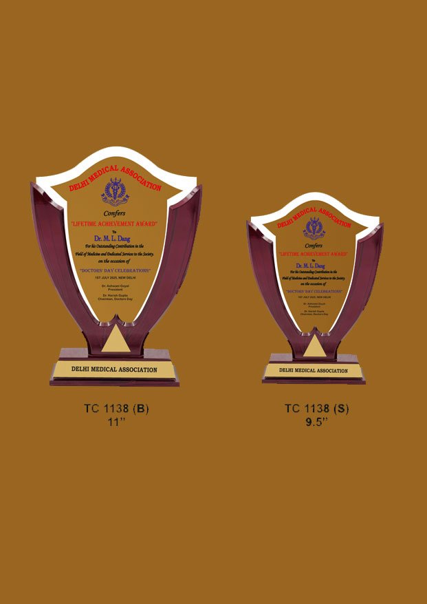 Acrylic Trophy in Delhi