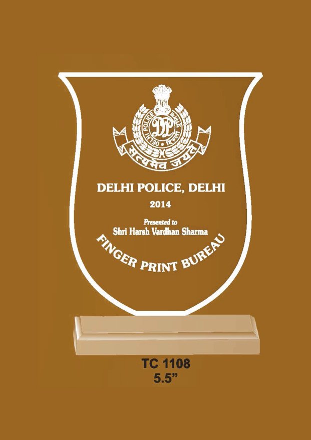 Acrylic Trophy Creator in Delhi