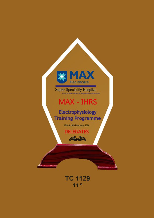 Acrylic Trophy in Delhi