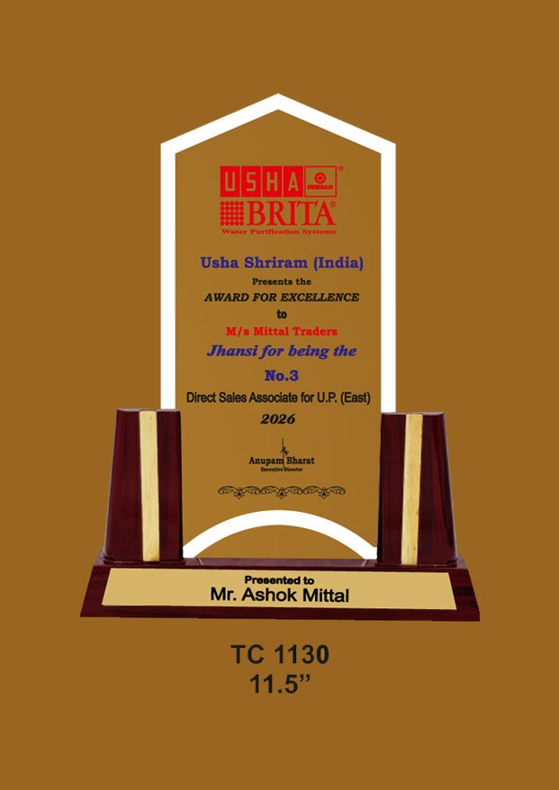 Acrylic Trophy in Delhi