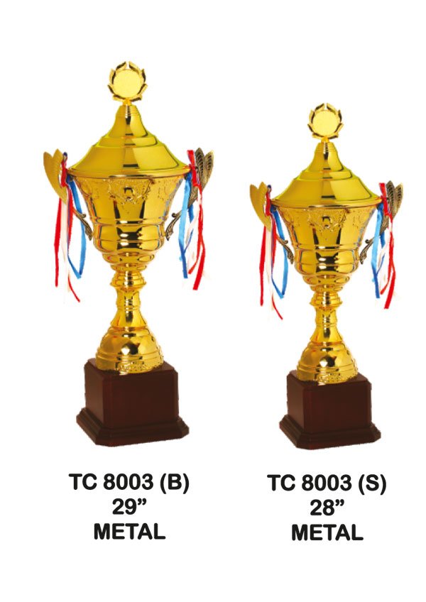 Cup Trophy Manufacturer in Delhi