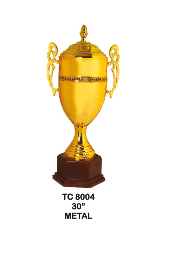 Cup Trophy Manufacturer in Noida