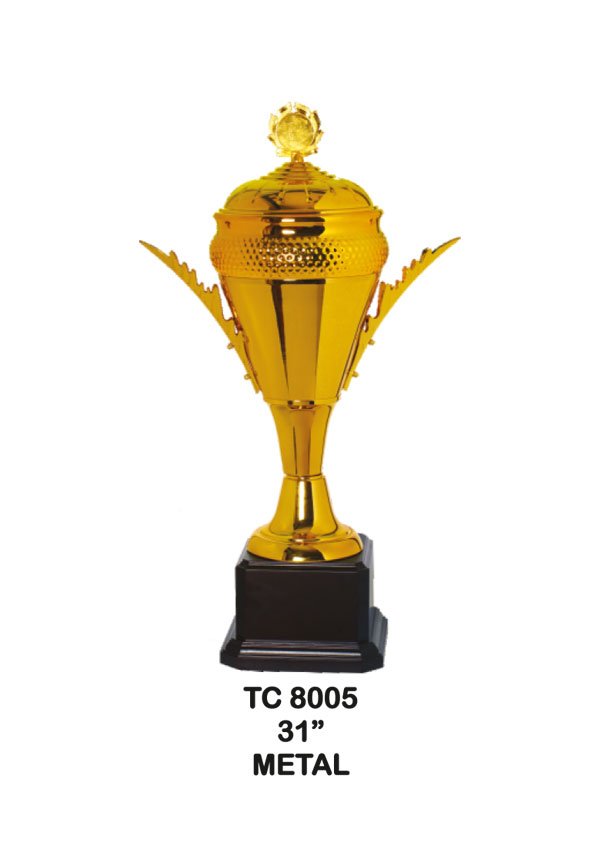 Cups Trophy Manufcaturer