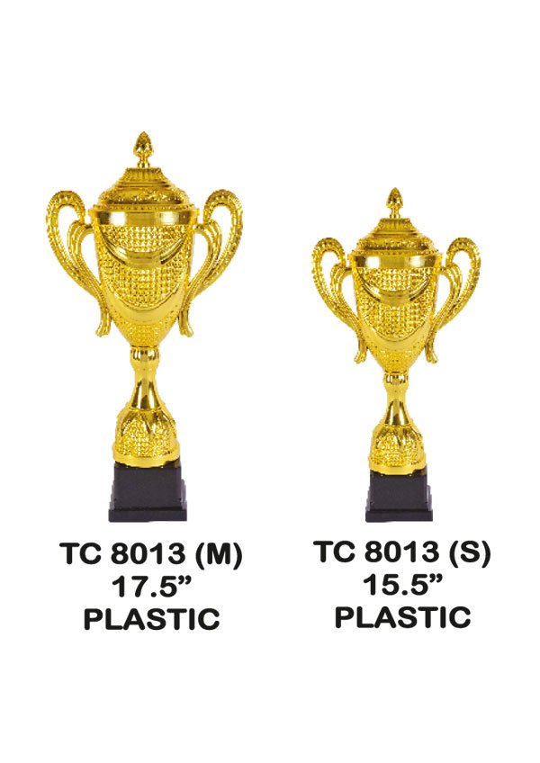 cup Trophy Supplier in Sikkim