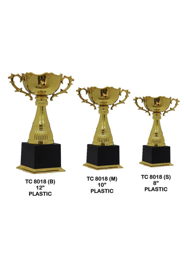 Custom Trophy Supplier for Govt Department