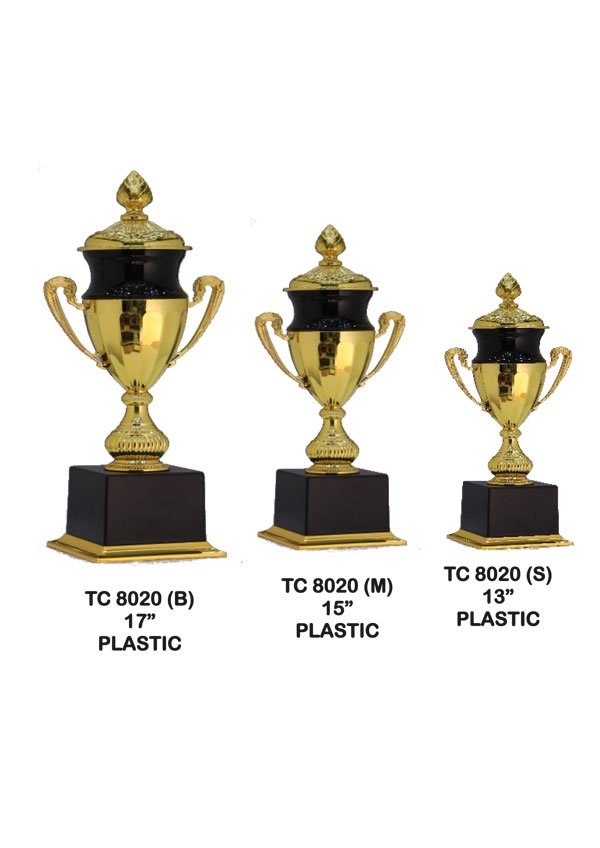Cricket Trophy Manufacturer