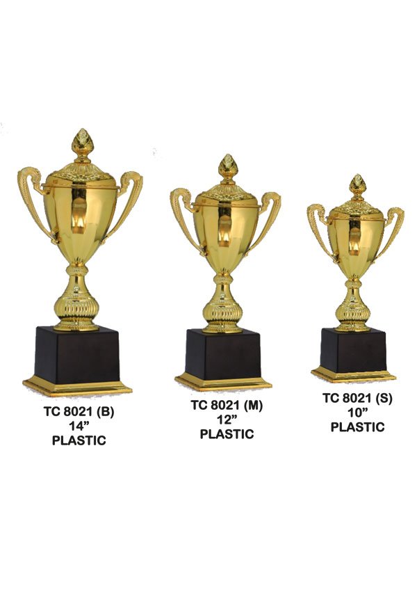 Cricket Trophy Supplier