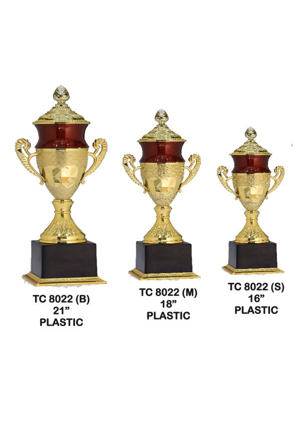 football Trophy Supplier