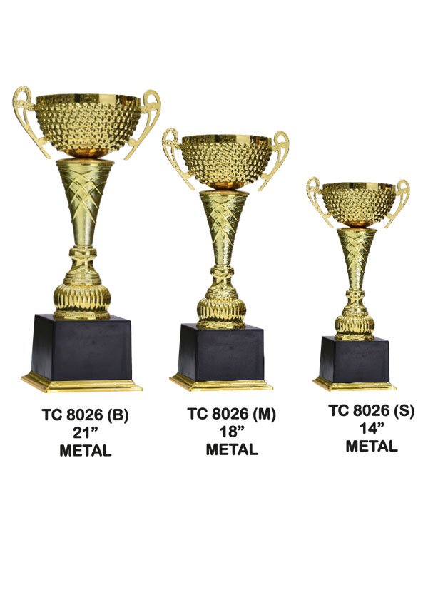 Award Manufacturer in Delhi