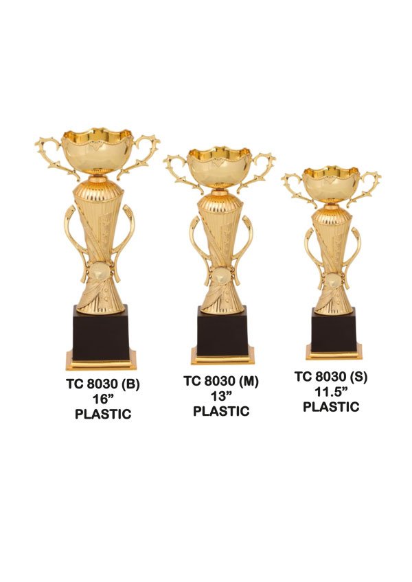 Trophy Supplier for Event Managaement Agencies