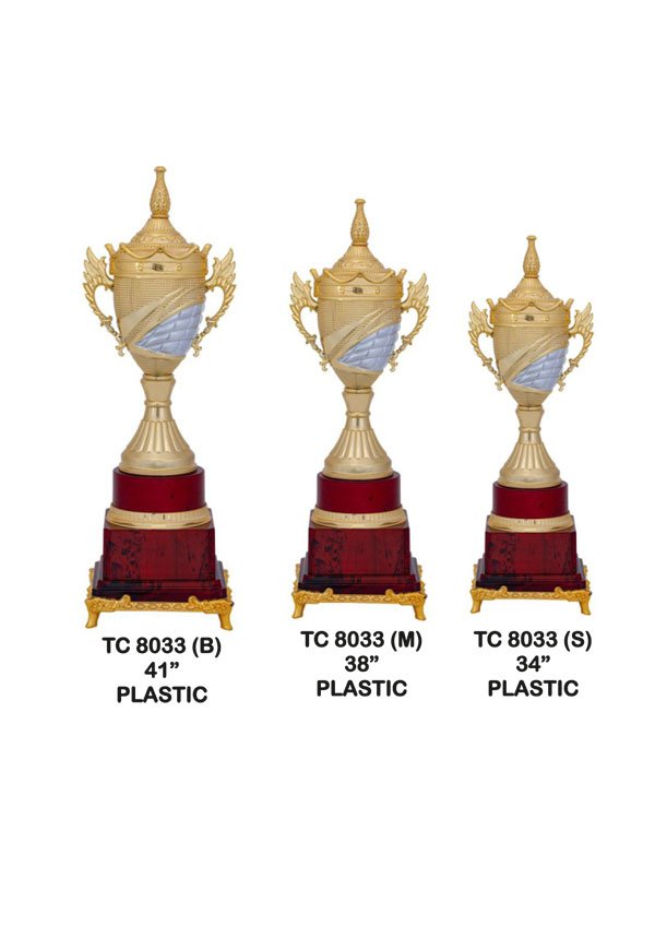 Corporate Trophy Supplier in Noida