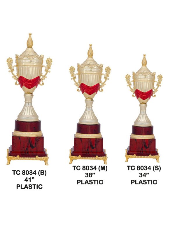 Corporate Trophy Supplier in Greater Noida