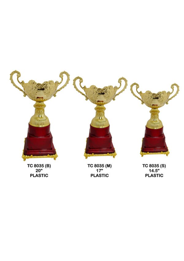 Corporate Trophy Supplier in Agra