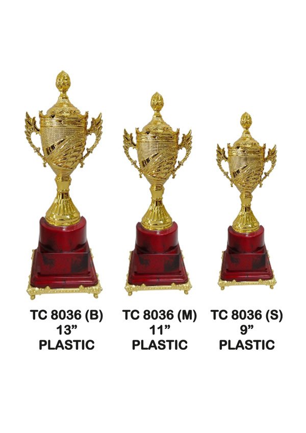 Corporate Trophy Supplier in Lucknow