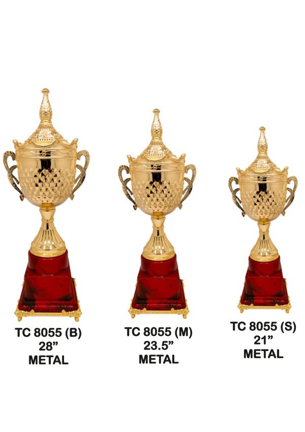 Trophy Supplier for Dance Competition
