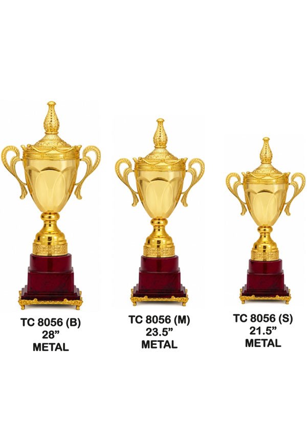 Trophy Supplier in Punjab