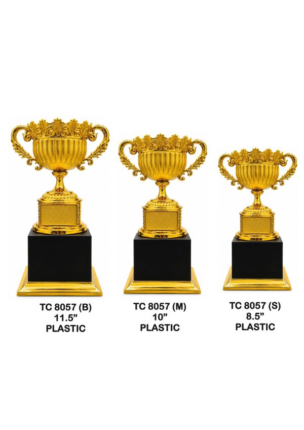 Trophy Supplier in Haryana