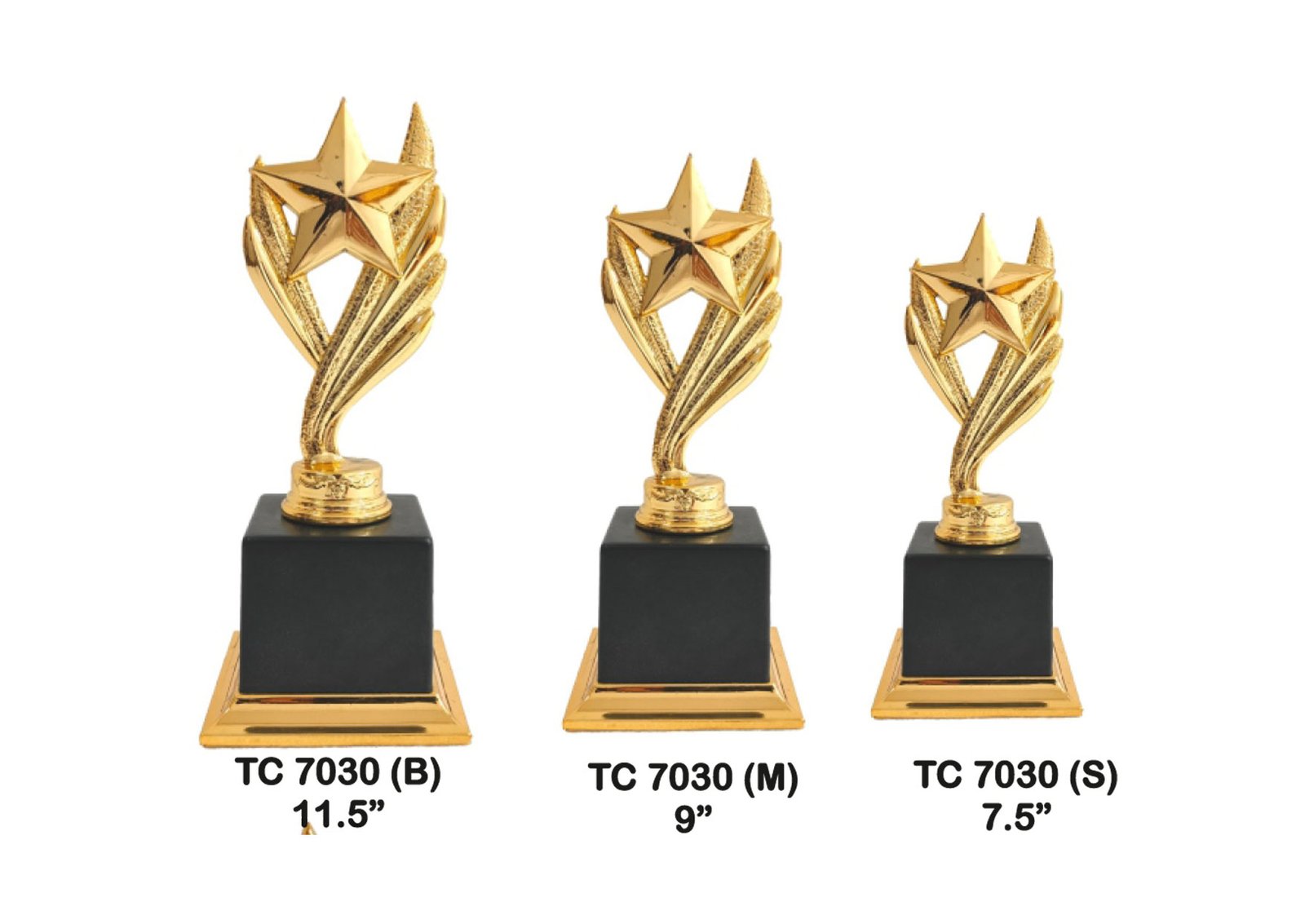 Award Manufacturer in Delhi