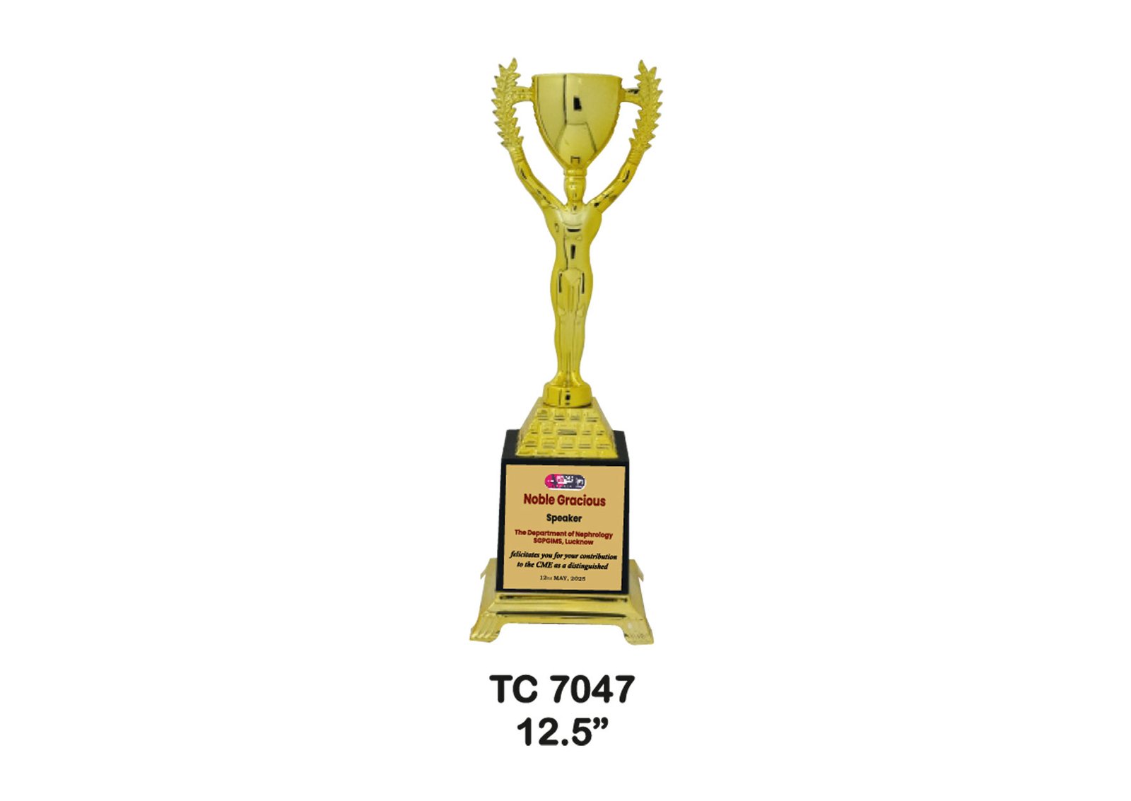 Award Manufacturer in Delhi