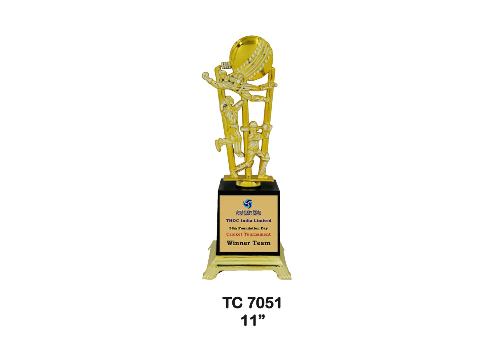 Cricket trophy Manufacturer in Delhi