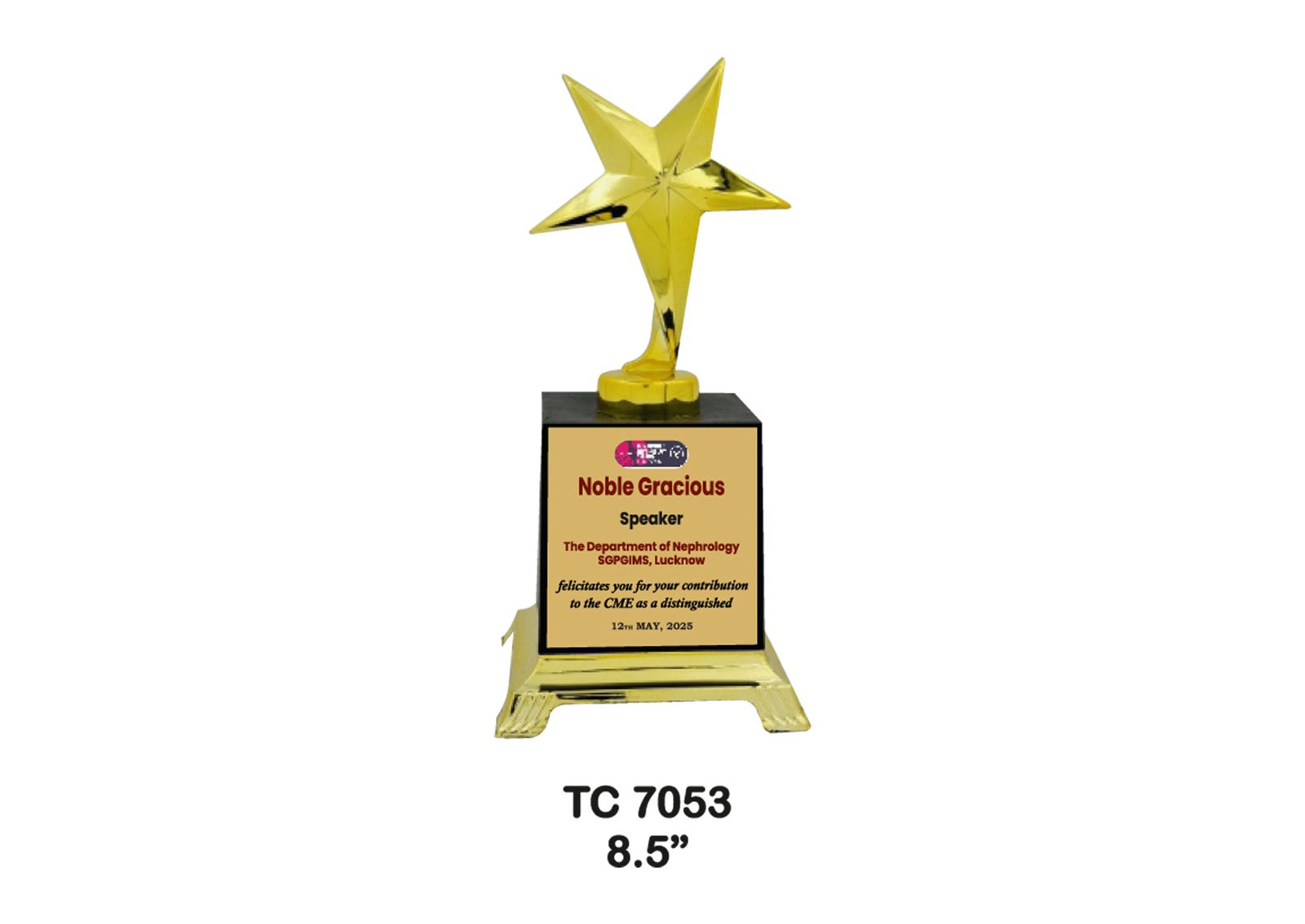 Award Manufacturer in Delhi