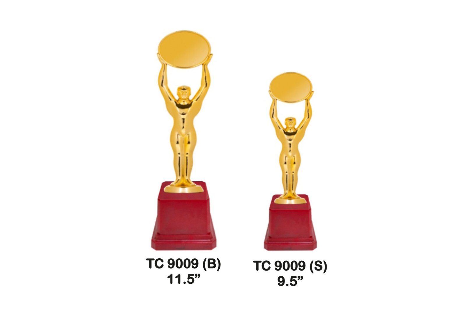 Flag Trophy Supplier Corporates in Gurugram