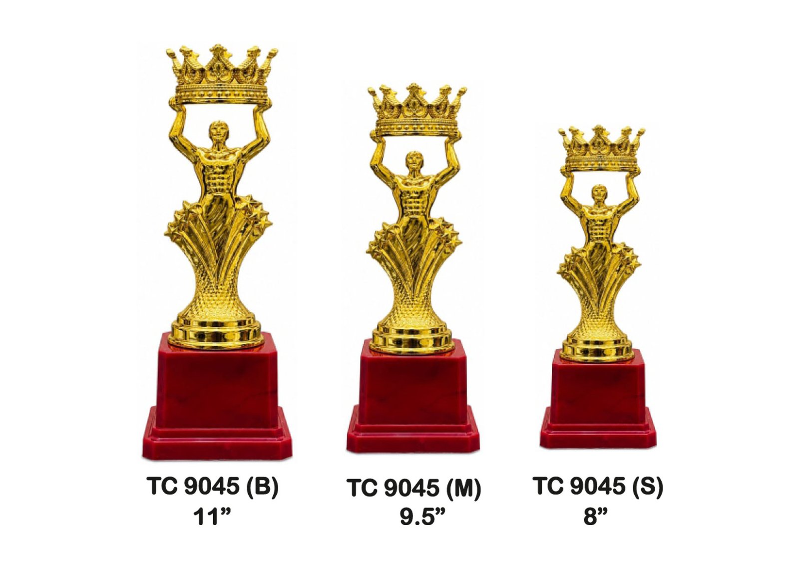 Trophy Supplier in Dehradun