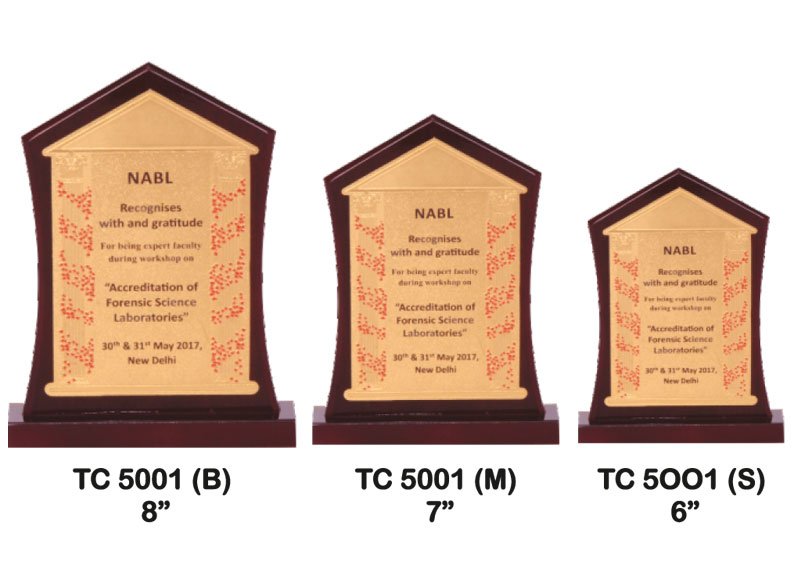 Foil Trophy Manufacturer in Delhi