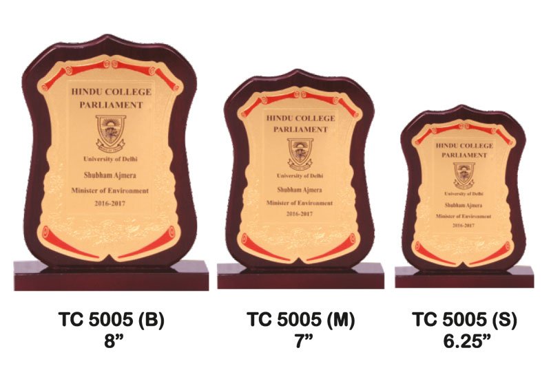 Foil Trophy Manufacturer in Ghaziabad