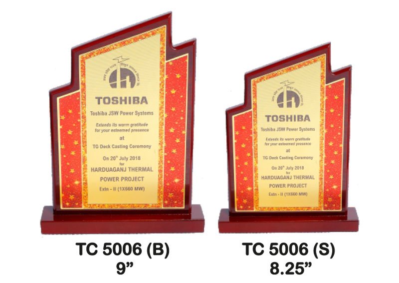 Foil Trophy Supplier in Delhi