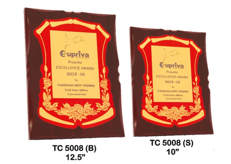 School Trophy Supplier in Noida