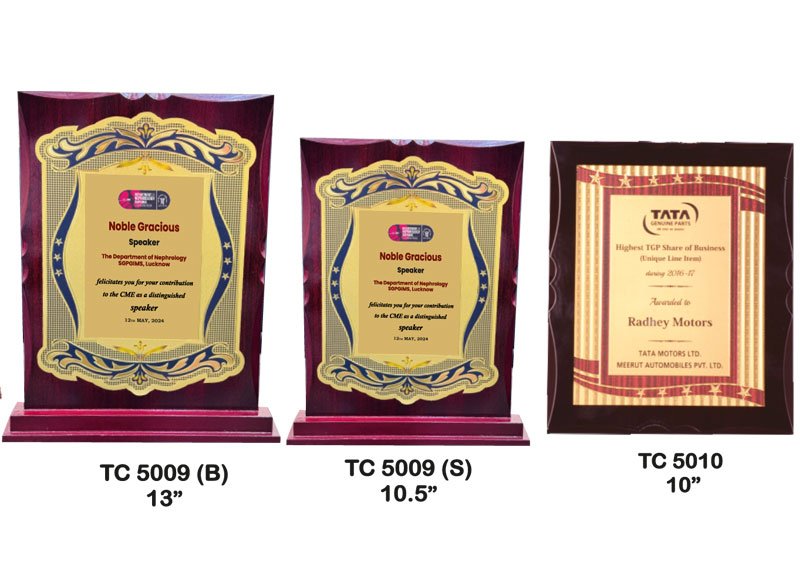 School Trophy Supplier in Gurugram