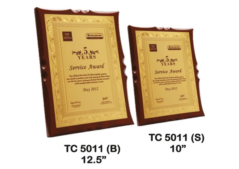 School Trophy Supplier in Delhi NCR