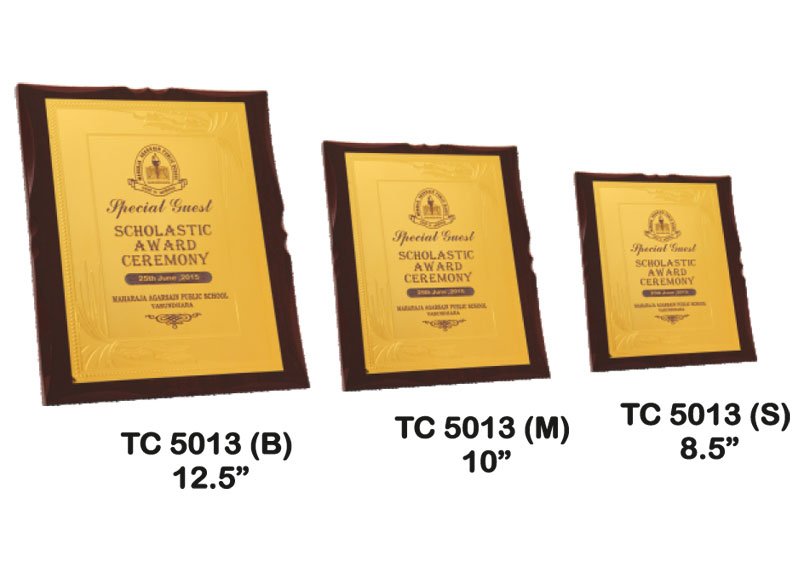 Corporate Trophy Supplier in Gurugram