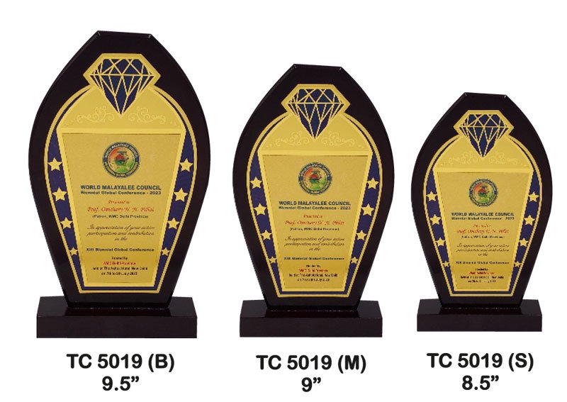 Customized Award Supplier in Jaipur