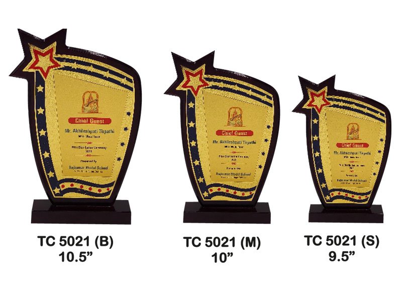 Customized Award Supplier in Chandigarh