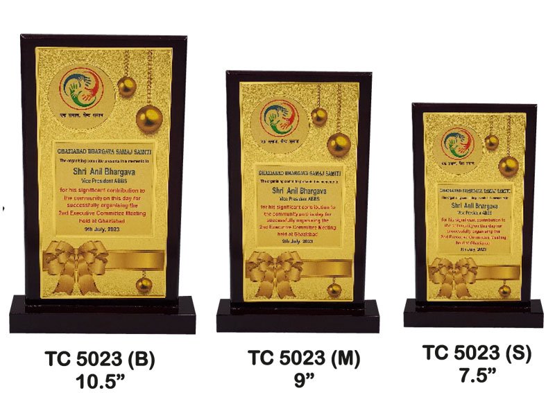 Sports Award Manufacturer in Delhi